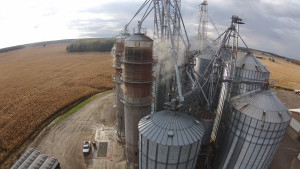 Anthony installation 2